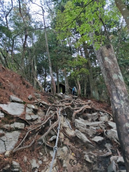 鳶嘴山日出896703