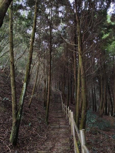 2023.12.24 大湖尖山2838732