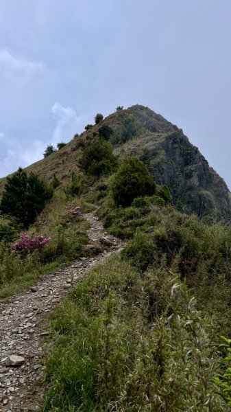 桃山、喀拉業2816818