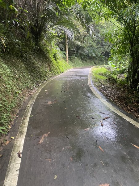 20250705-Ep.03六寮古道-2025森遊竹縣皮皮獅探險隊2851458