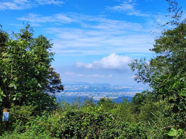 關刀山-小百岳#36-苗栗縣三義鄉2244999