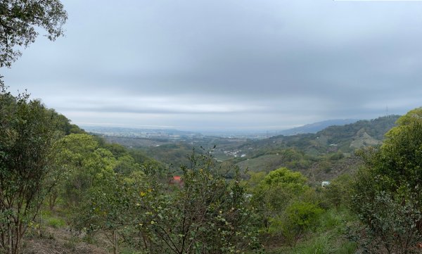 1100306.13鳳凰山.觀音山步道1298254