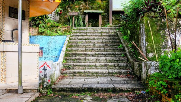 汐止大尖山2971874