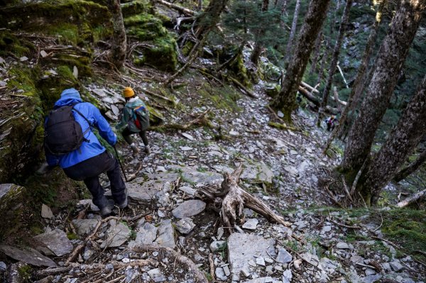 帝王之座-南湖主峰線｜南湖大山＋南湖南峰＋巴巴山2884952