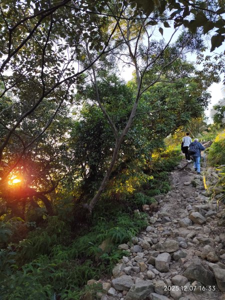 【臺北大縱走 5】碧山巖→忠勇山越嶺步道→金龍產業道路→圓明寺步道→鄭成功廟→潛園→格物台→劍潭古寺2959015