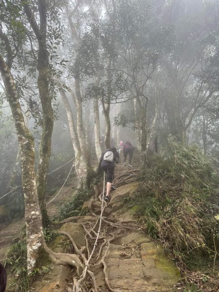 小百岳集起來-仙山2183039