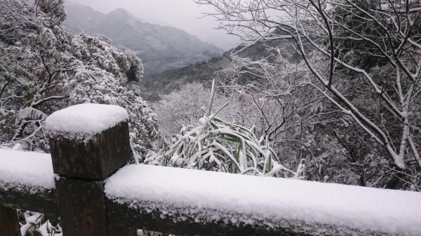 大旗棟古道踩雪行29892