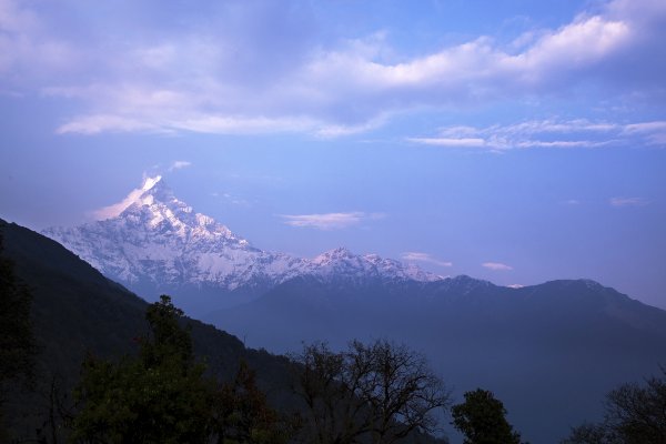 Mardi Himal 安納普娜基地營健行(ABC)2154972