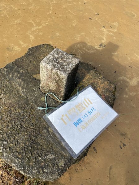 大湖翠湖金龍湖2711889