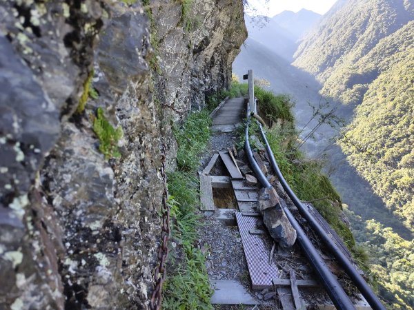 [玉山尋寶任務-07/12] 2025_0824 八通關雲龍瀑布步道
