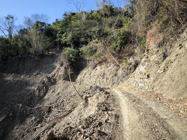 2026-02-10 白雲山2999925