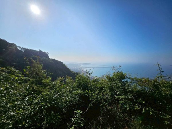 20251223柴山鯉龍山站 （文學院後步道）2969875