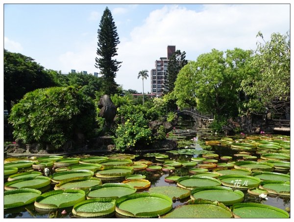 雙溪公園步道684457