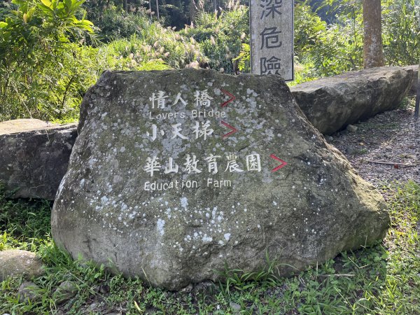 [阿龍尋寶任務]2023_0623_雲嘉大尖山、二尖山步道2204498