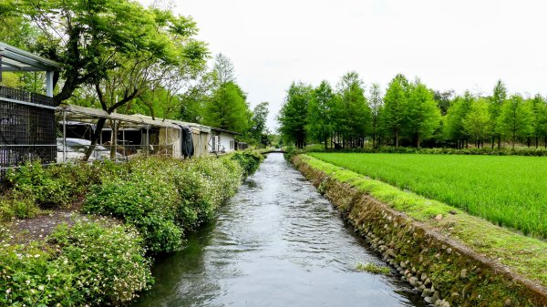北后寺。關稅戰2758762