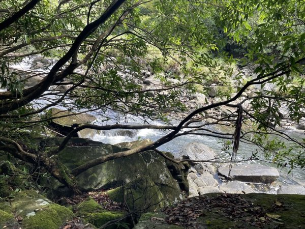 南北豹子廚山2925456