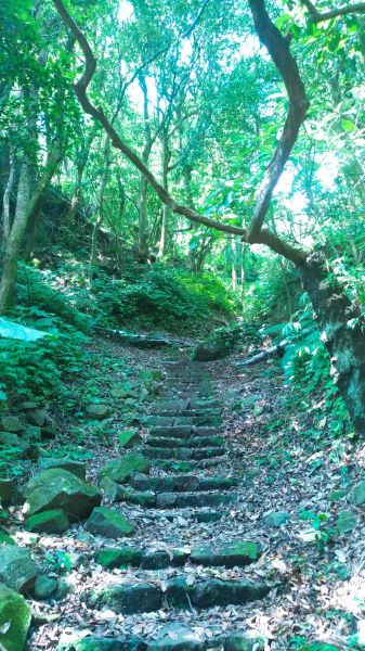 天母水管路-紗帽山320327