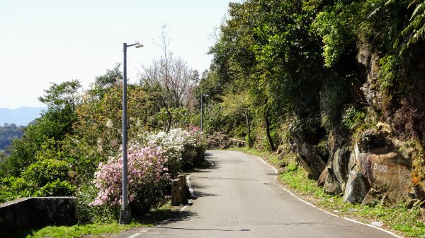 春天的顏色1279663