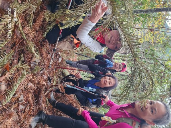 20251220上谷關山縱走四連峰2974343