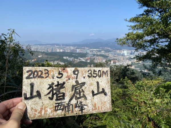 2024/01/12 更寮古道 山豬淚湖 土庫岳 南港茶園2416234