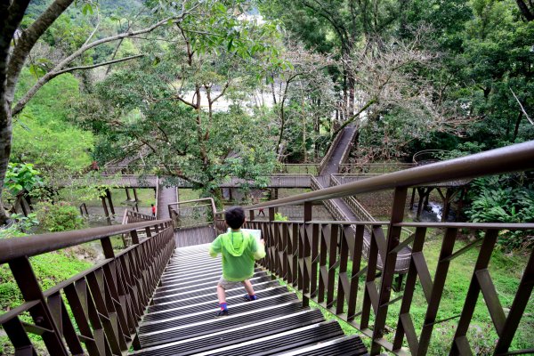 知本國家森林遊樂區步道之一870815