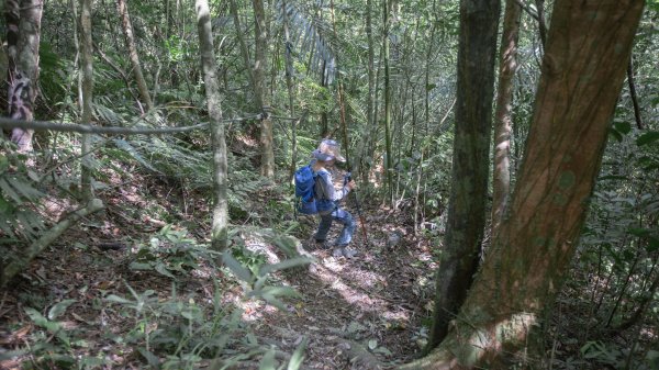 闊瀨古道-沿北勢溪谷而行的夏末之旅（淡蘭古道）2287650