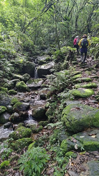 楊廷理古道2814605