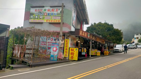 關刀山2645315