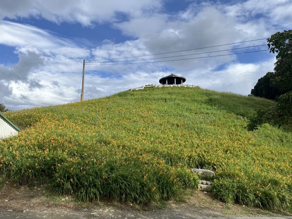 [漫遊縱谷 愛在花東-10/10] 2024_0818 太麻里金針山木馬步道（漫遊縱谷 愛在花東）2577166