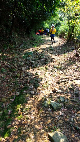 黑肉坪至本山地質公園910016