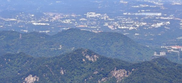 2025/10/10-水田林道上外鳥嘴山2911496