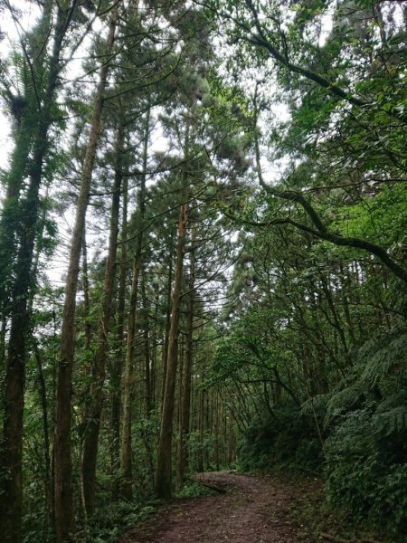 璀璨百年淡蘭古道～象寮古道、石空山、坪溪古道、梗枋古道O走1339443