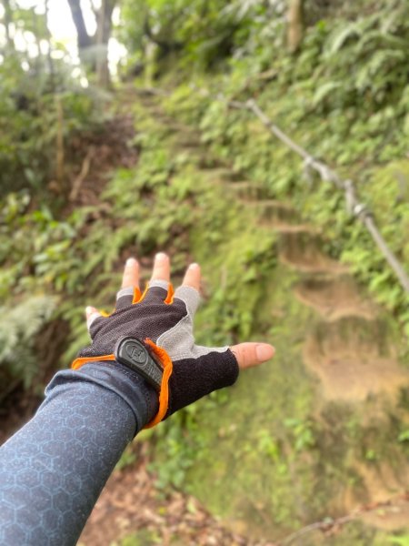 微笑山⛰️線-大棟-二格山-五分山-天上山-鳶山💎12條步道完成💙2834173