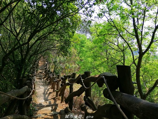 【台中。北屯】台灣百大必訪步道。 大坑四號步道1338785