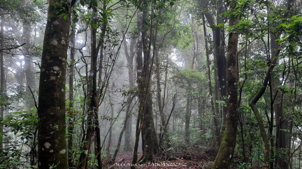 《雲林》望好望角｜石壁山嘉南雲峰步道(中側登山口）202506072805374