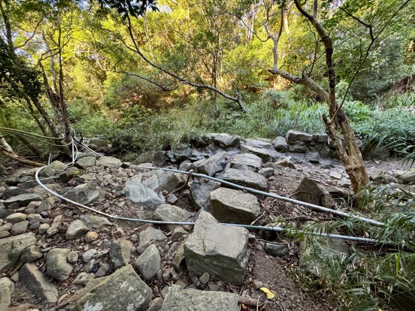 楓港紫竹林龍峰寺起登 里龍山(小百岳#80)來回2964450