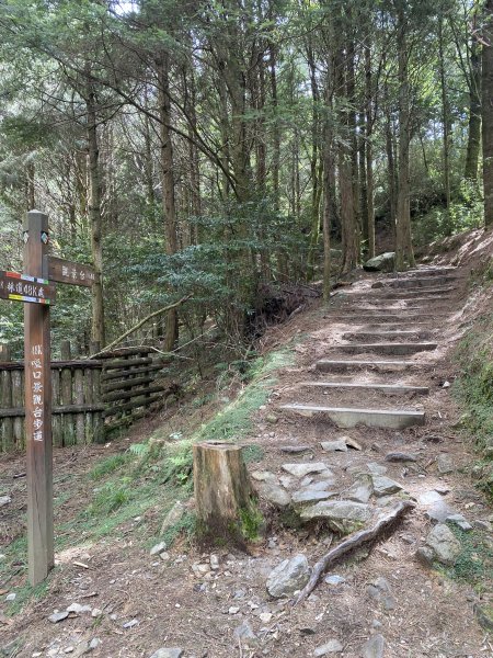 52大小雪山森林步道11310133093045