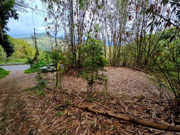 白雲山-小百岳#69-高雄市甲仙區2750265