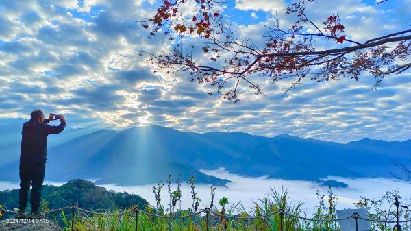 二訪馬拉邦山，解鎖 #琉璃光雲海 #日出雲海  #血月 #斜射光 #楓葉紅了！2668619