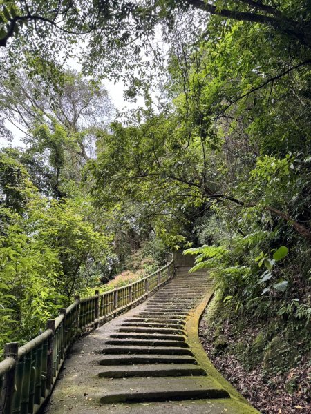 【臺北】仙跡岩步道2497665