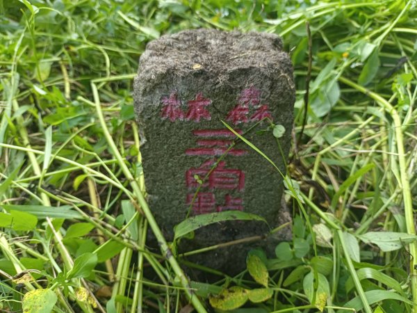 20230812台中東勢石角山、麻竹坑山、和平大南坑山主峰、大南坑山、大南坑山東峰2246203