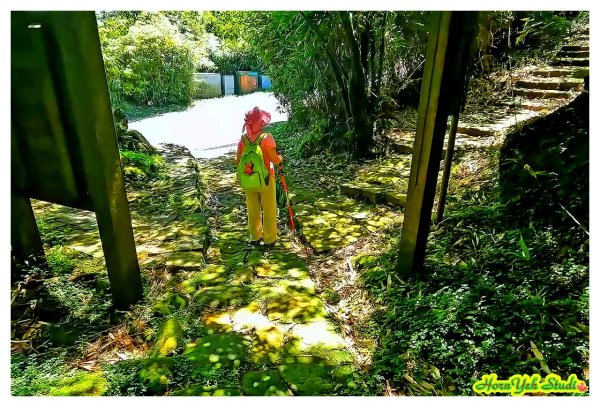 北環段七星山人車分道 七星瀑布 夢幻湖 下冷水坑泡腳趣2864589