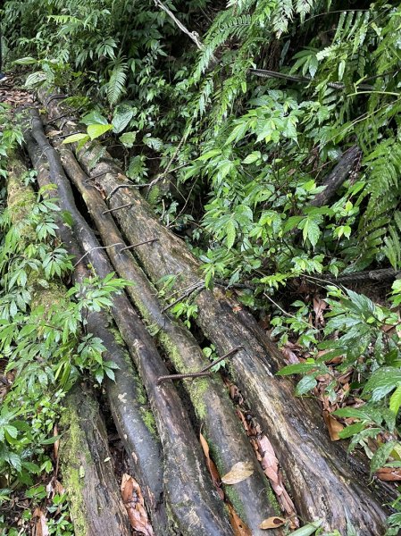 汐止-石碇2761560