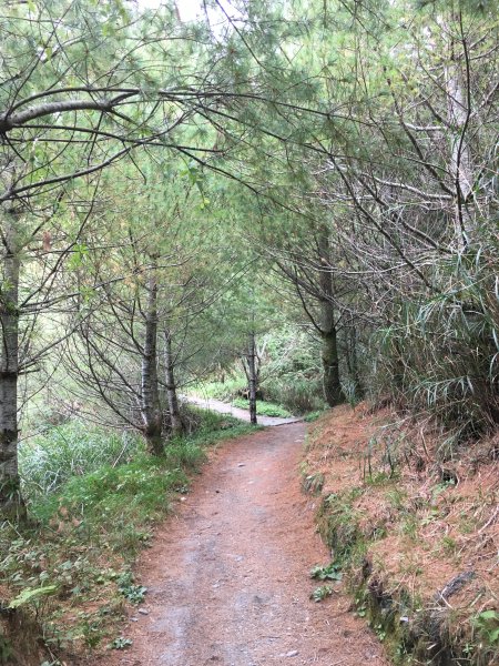 20161109-10_奇萊南華873700