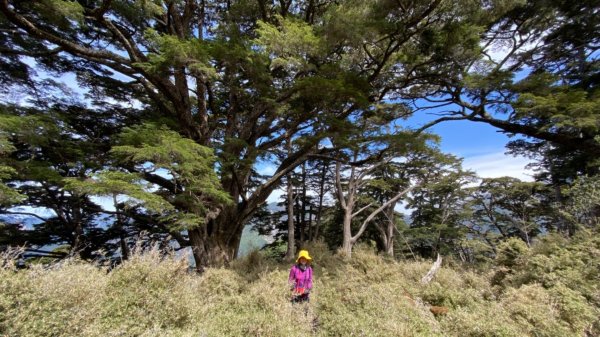 楠梓仙溪上南玉山1373059