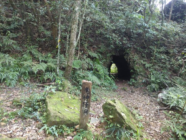 2026.03.14－微笑山線：【五分山系】3015440