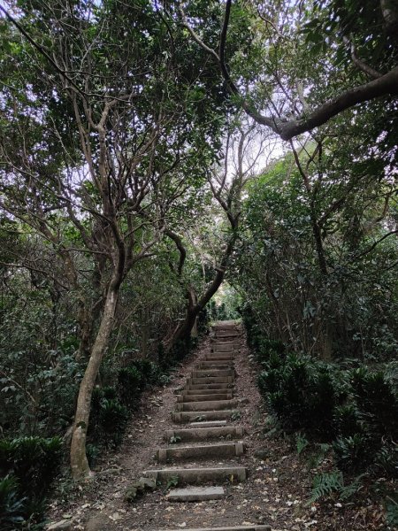 2023.12.08 南勢角山2695826