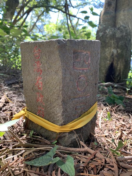 20240706屏東三地山西南峰2546716