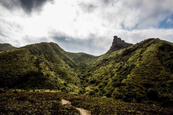 進入侏羅紀公園-劍龍稜819978