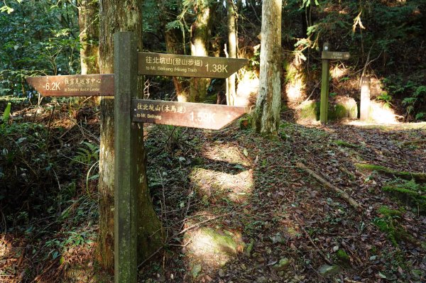 苗栗 泰安 東洗水山、北坑山、大板根2613347